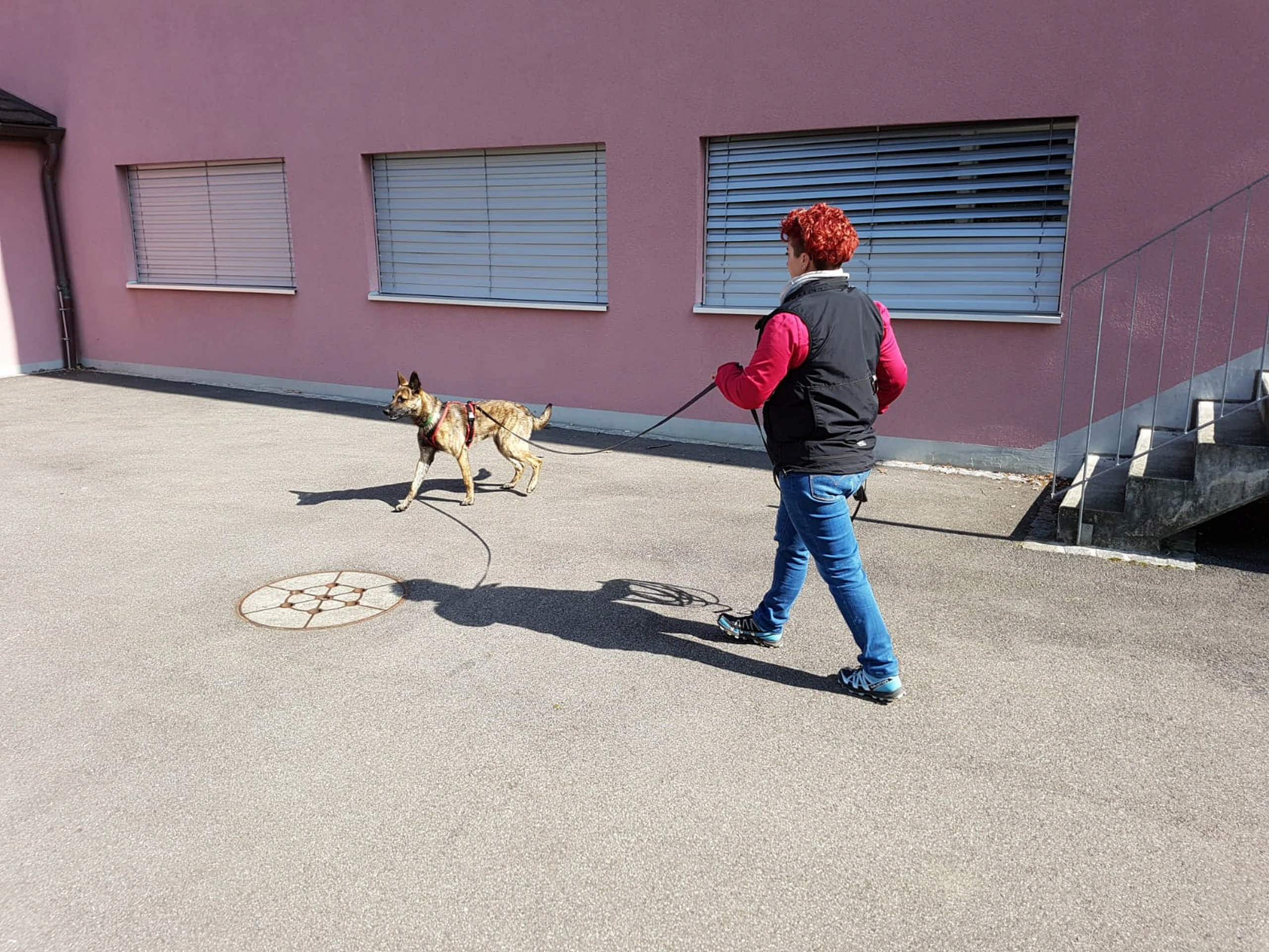 Hundeschule